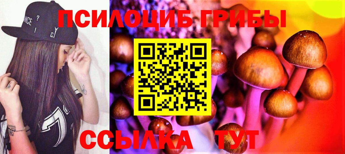 Псилоцибиновые грибы Magic Shrooms Гатчина